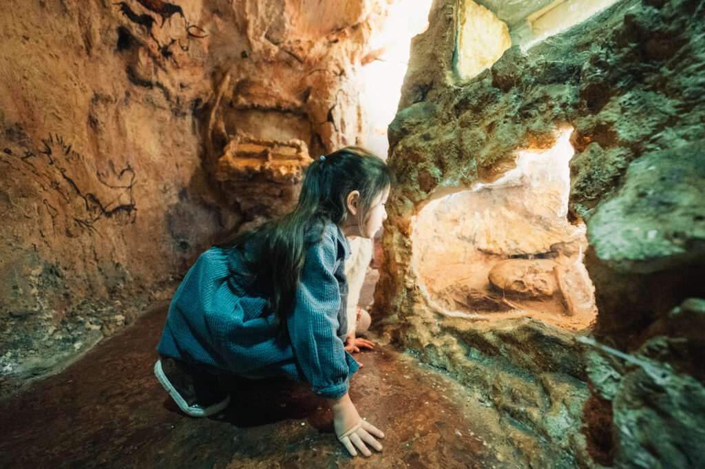 תערוכות קבע