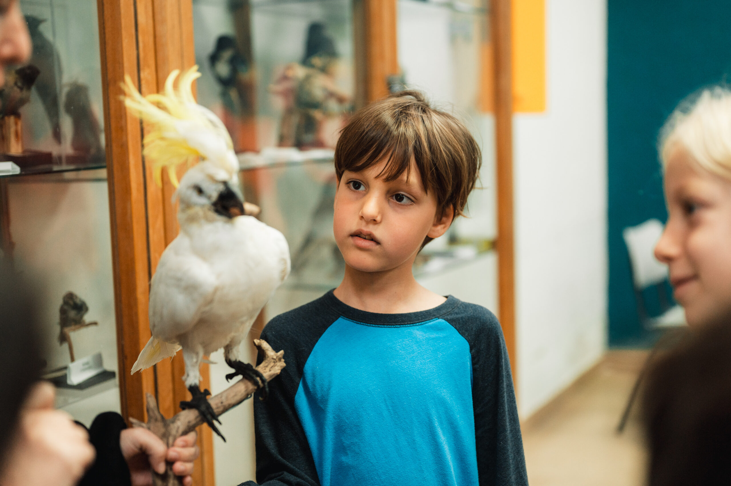 בילוי משפחתי