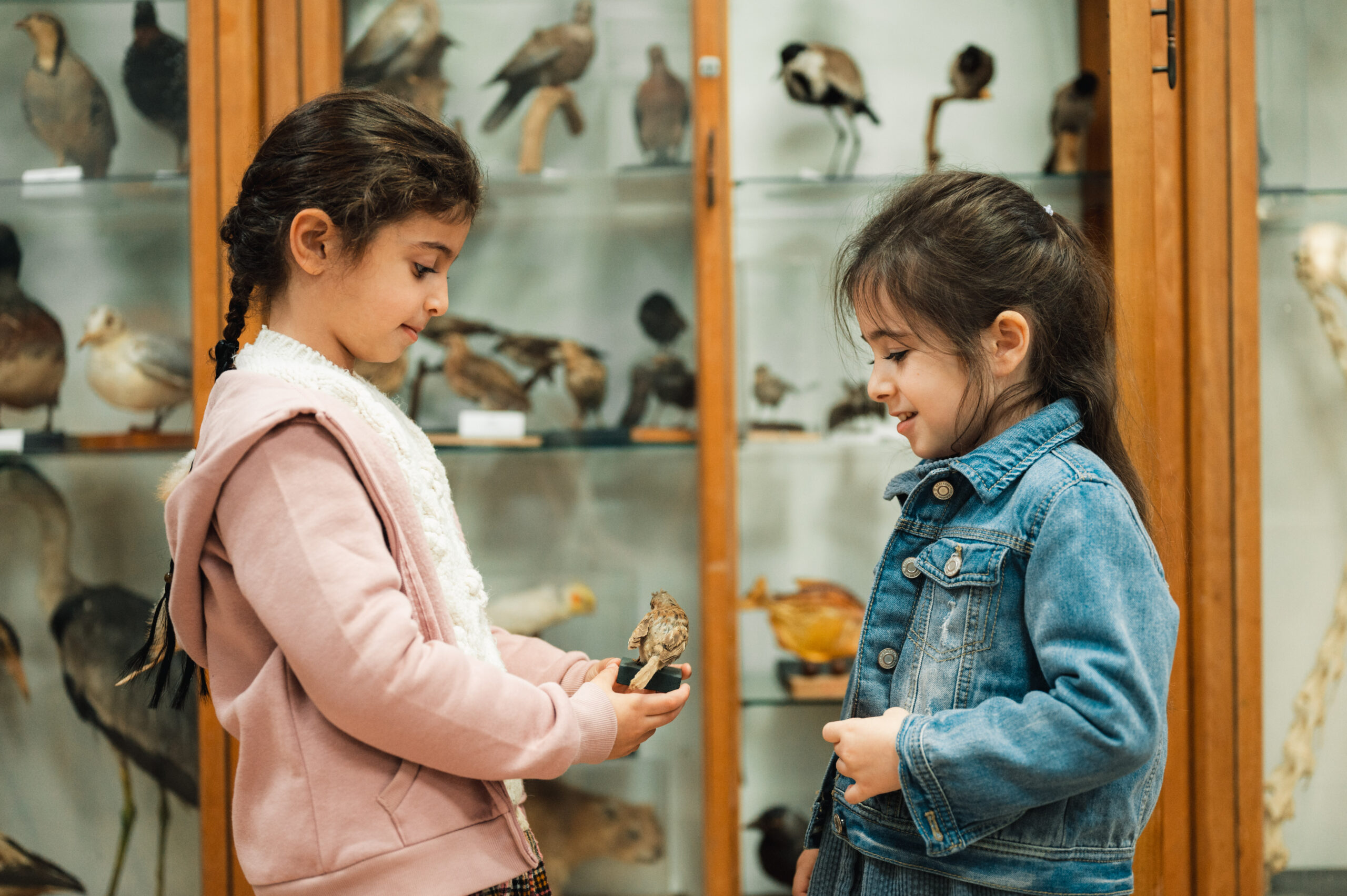 האוספים שלנו