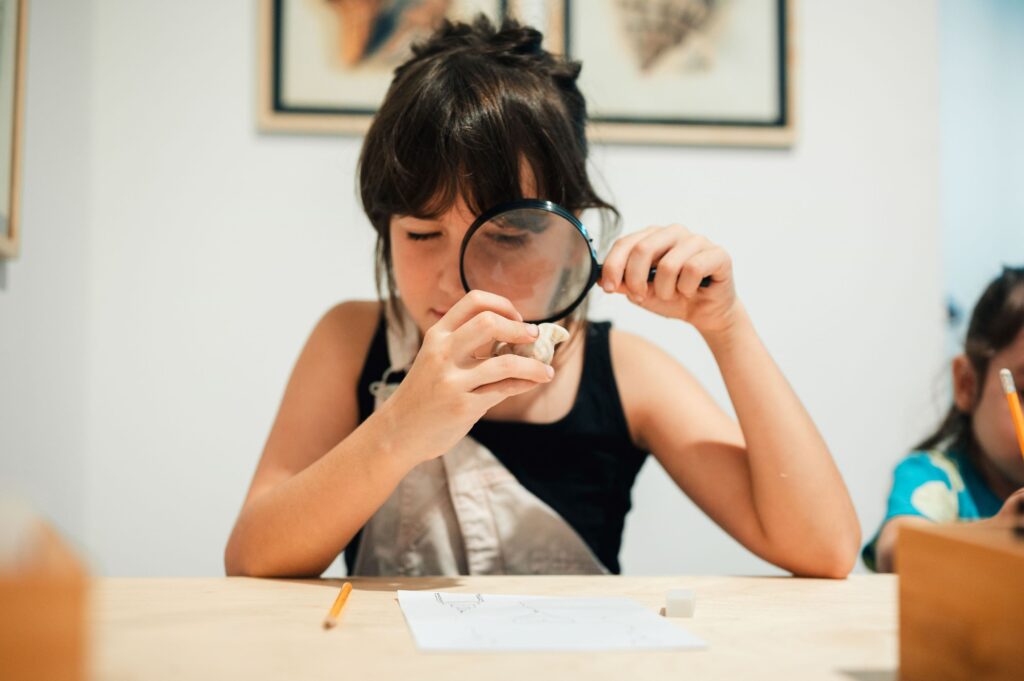 נדב כהן יונתן (3)