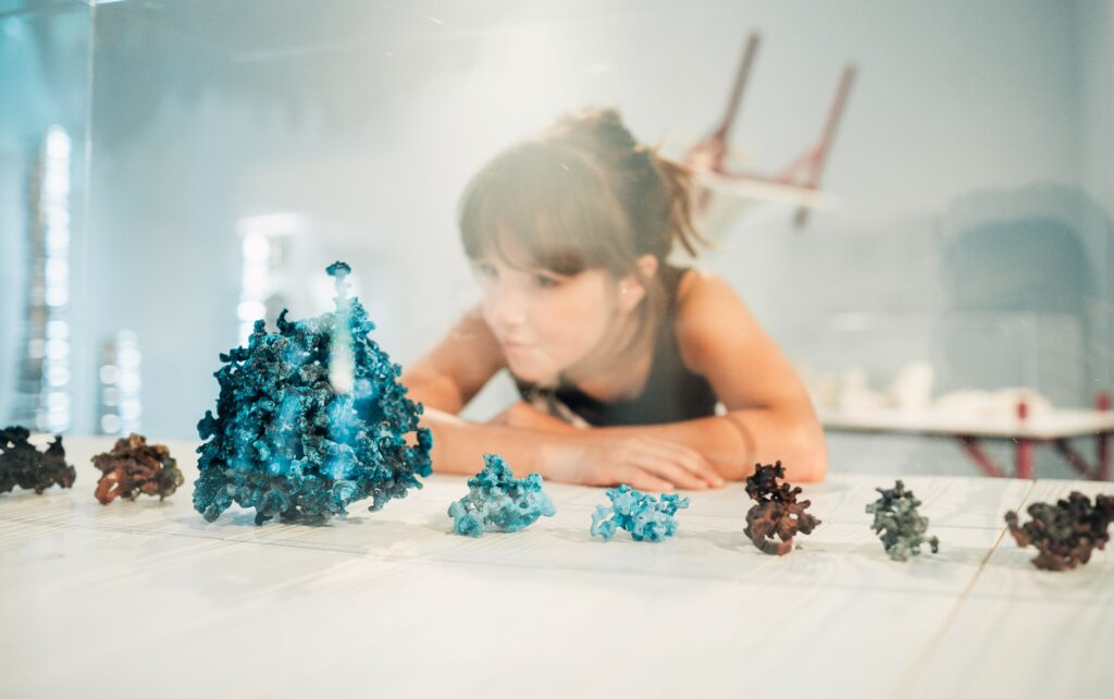 נדב כהן יונתן (5)