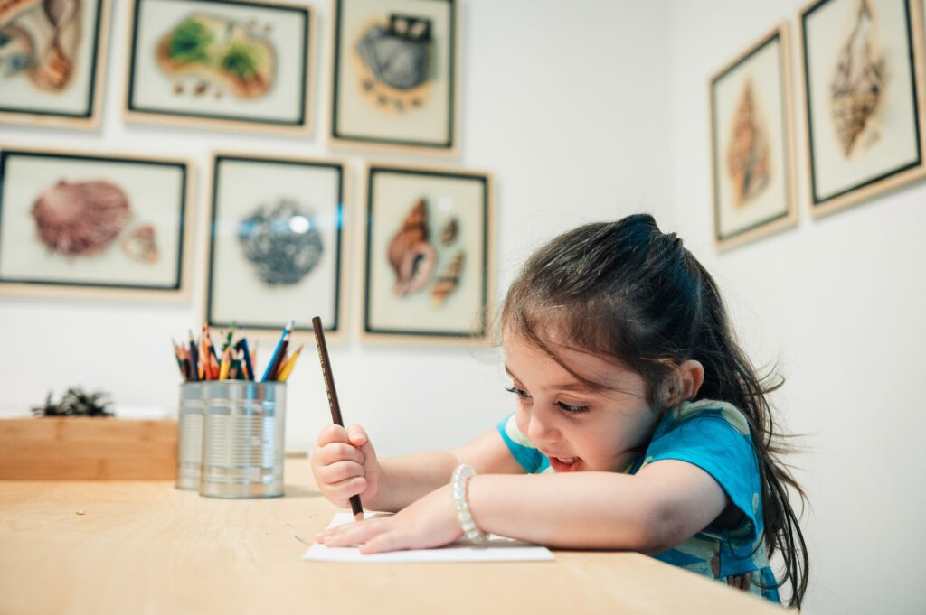 נדב כהן יונתן (7)