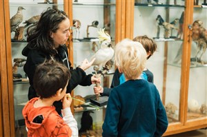 פריטים נבחרים מאוסף המוזיאון